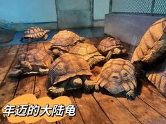 -宁波野生动物园
