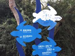 -广东惠东海龟国家级自然保护区