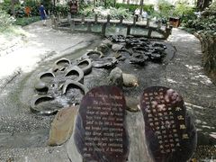 -成都市活水公园
