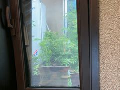 -福来齐·鲁菜海鲜·渔家菜(朝阳街分店)