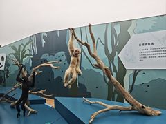 -武汉园博园(武汉自然博物馆)