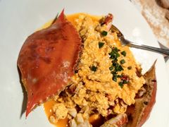-连鹭海鲜·海肠捞饭·海胆饭(星海店)