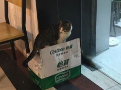 -黑皮烧烤(民意四路店)