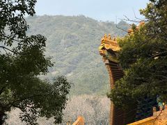 -普陀山风景区-佛顶山