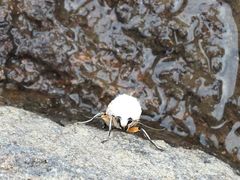 -南京市无想山景区