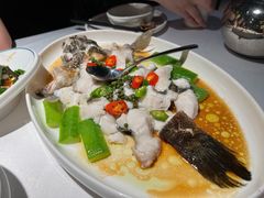 -老伙记海鲜码头(北滘店)