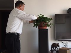 -新湖明珠城