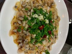 -红灯笼龙凤饭店(宁波老字号店)