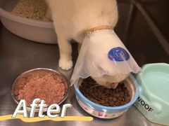 -萌兽医馆·犬猫专科·眼科中心·宠物医院(朝阳门分院)