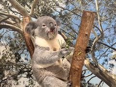 -费瑟代尔野生动物园