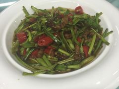 -红栌温泉山庄生态美食餐厅