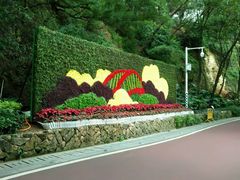 -金鸡山公园