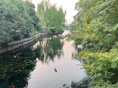-西湖游船
