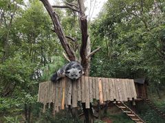 -云南野生动物园