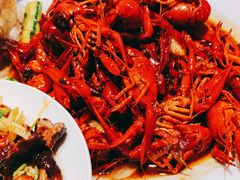 -杨氏青龙虾·羊蝎子(托乐嘉店)