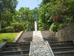 -深圳国际园林花卉博览园