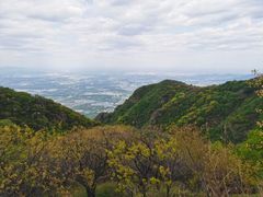 -阳台山自然风景区