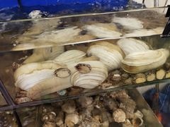 -渔中舟海鲜大排档(普陀沈家门店)