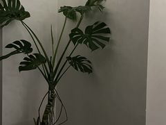 -中粮·祥云小镇