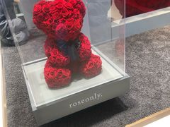 -ROSEONLY诺誓(沈阳万象城店)