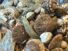 -四海蒸鲜蒸汽海鲜自助(北戴河店)