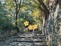 -阳台山自然风景区