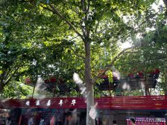 -长乐公园游乐场