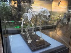 -陕西自然博物馆