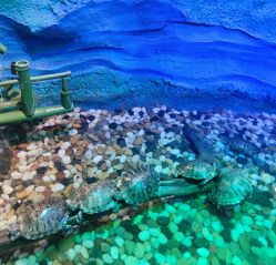 -酷嗒动物文化乐园(cutezoo西溪乐天城店)