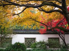 -杭州植物园