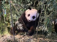 -天津自然博物馆