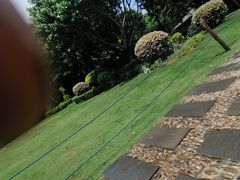 -五缘湾湿地公园