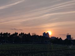 -海珠湖公园