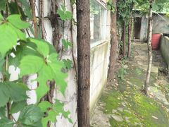-东湖小天池真人CS彩弹野战基地
