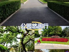 -大连人民广场