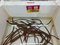 -华源餐厅·海鲜大排档(日月贝店)