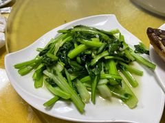 -煲来饱去冷水鱼