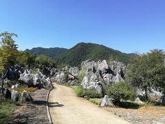 -千岛湖石林