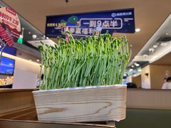 -海底捞火锅(南山京基百纳店)