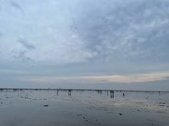 -奉贤海滩