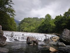 -石台牯牛降景区
