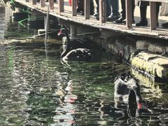 -水磨沟公园