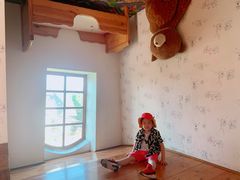 -金山农民画村-枫泾波兰倒置屋
