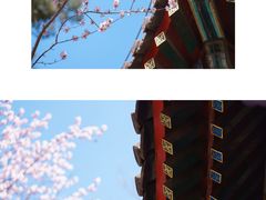 -颐和园