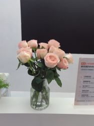 -小阿福儿童摄影(摩尔城店)