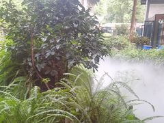 -大妙火锅·非物质文化遗产(东湖公园店)