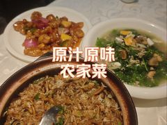 -原汁原味农家菜·经典粤菜(江燕南路店)
