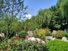 -唐御宴•御宴宫•唐代菜点(芙蓉西路店)