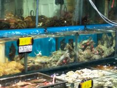 -岳各庄批发市场(西四环中路店)