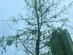 -华熙LIVE·528